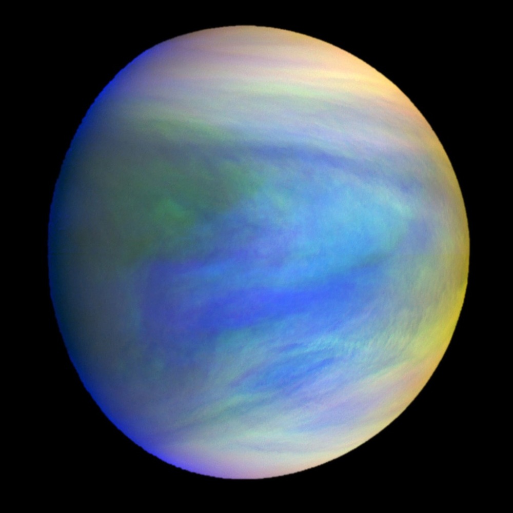 Meet your Posher, Scarlet